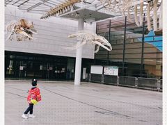 -大阪市立自然史博物馆