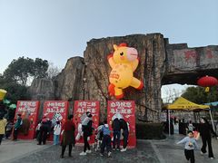 -合肥野生动物园