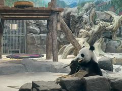-武汉动物园