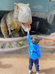 点击看大图 -宝燕乐园(闵行旗舰店)