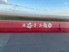 -南汇新城海滩