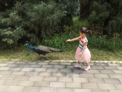 -北京麋鹿生态实验中心