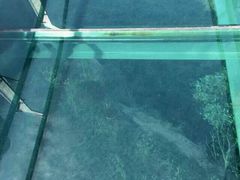 android_upload_pic-剑门关风景区