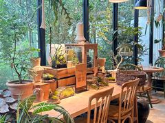 -自由生长植物工作室(深港花卉中心店)