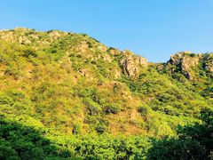 -大岭沟猕猴桃谷风景区