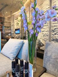 -VELEE·SPA高定疗愈会所