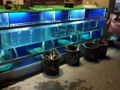 水产区-同福小馆(北摆宴街店)