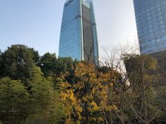 -重庆市江北嘴中央商务区中央公园