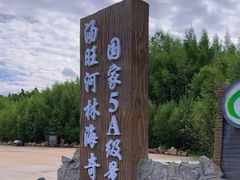 -汤旺河林海奇石景区