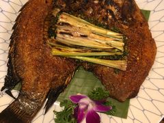 -紫滇源云南生态菜(丹凤街店)
