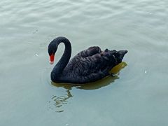 -河北村民俗体验园