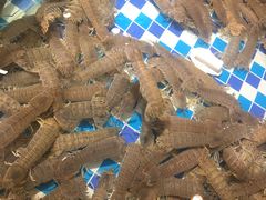 -醉湘厨艺(才华街店)