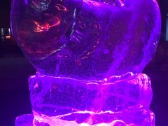 -哈尔滨工业大学食堂