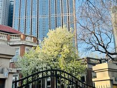 -天津五大道文化旅游区