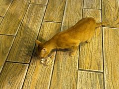 -Sasa的海(蜈支洲岛后海店)