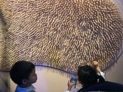 -墨尔本博物馆(Melbourne Museum)