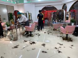 点击看大图 -BULB STUDIO 巴柏明星发型工作室