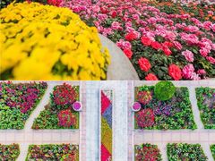 -天津水上公园