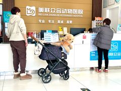 -美联众合动物医院·24h京西诊疗中心