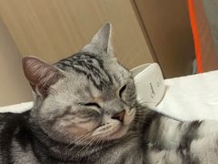 -宠颐生中康贝怡动物医院