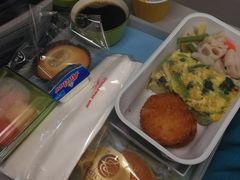 -西沃古尔·拉姆古兰爵士国际机场