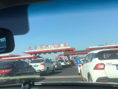 -胶州湾海底隧道