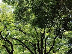 -晓港公园