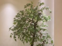 -范家小馆·烤鸭新京菜(金融街店)