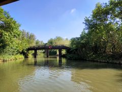 -溱湖国家湿地公园