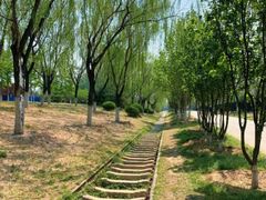 -永定河休闲森林公园