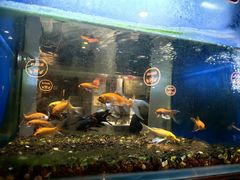 -蚝翅·海鲜粥·烧烤·龙虾季(海曙天一店)