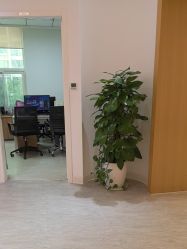 -天津伊美尔医疗整形美容专科医院