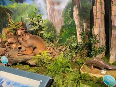 -湖南省地质博物馆