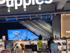 -五环Outlets(高新工厂店)
