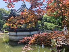 -申粤轩酒楼·三十年粤菜经典(丁香花园店)