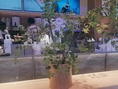 -茉莉奶白(广州动漫星城店)