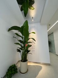 -魔型社烫染店