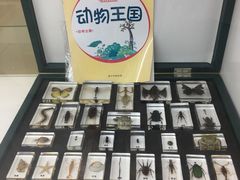 -斯坦星球青少儿编程机器人科学积木拼搭思维专注力科创竞赛规划(武汉凯德西城学习中心)