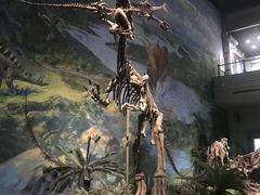 -自贡恐龙博物馆