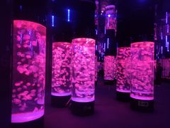 -成都浩海立方海洋公园