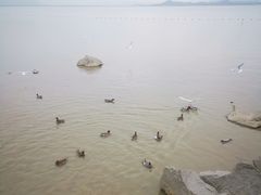 -深圳湾公园(南山区)