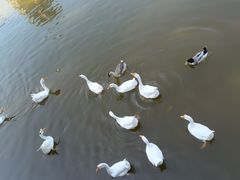 -迎泽公园