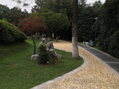 -菊花台公园