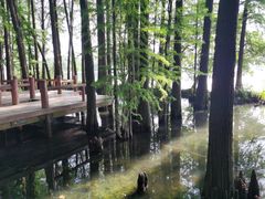 -东湖落雁景区