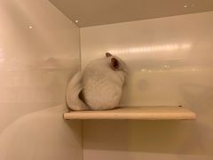 -龙猫仔乐园(惠福东路店)