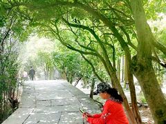 -樱桃沟景区
