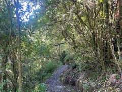 -怀托摩萤火虫洞