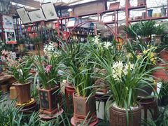 -秦美花卉(天朗·莱茵小城2期店)