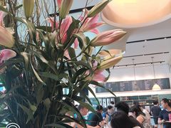 -gaga(深圳南山益田假日广场店)