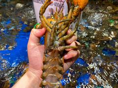 -盒马鲜生(帝斯曼店)